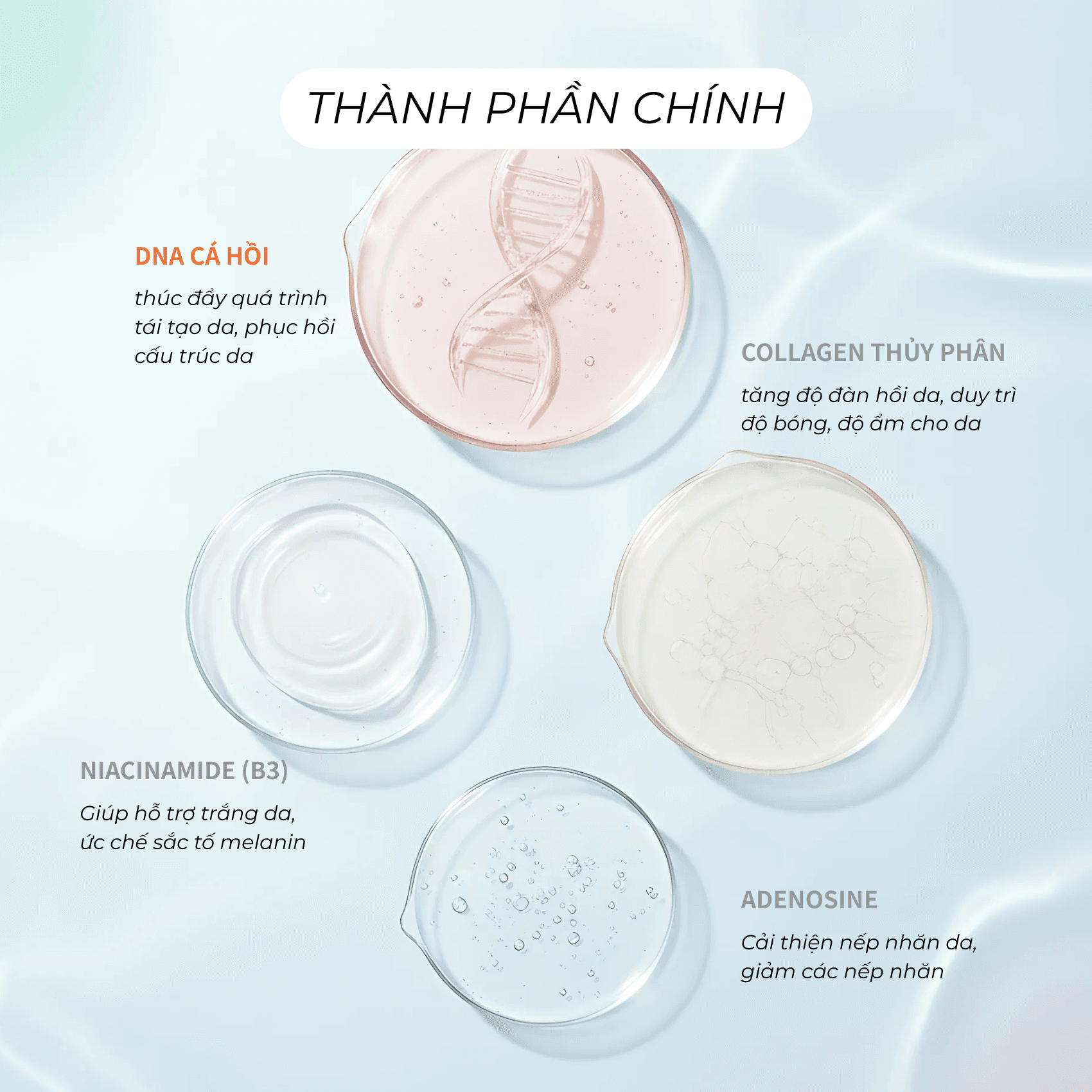 Tinh chất DNA cá hồi